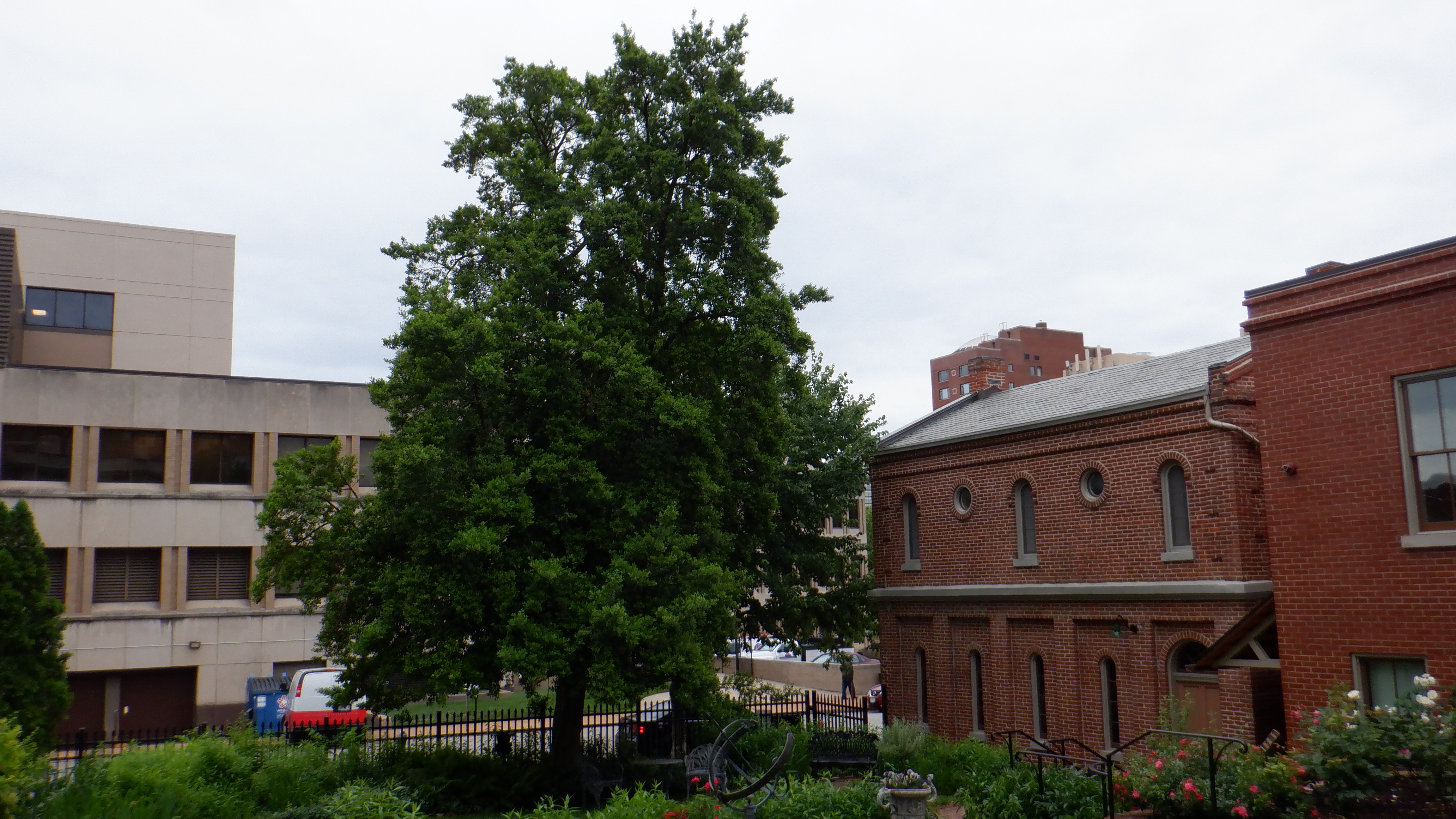 ./2022/06 - St Louis/06 - Day 6/20220526-150256962.JPG